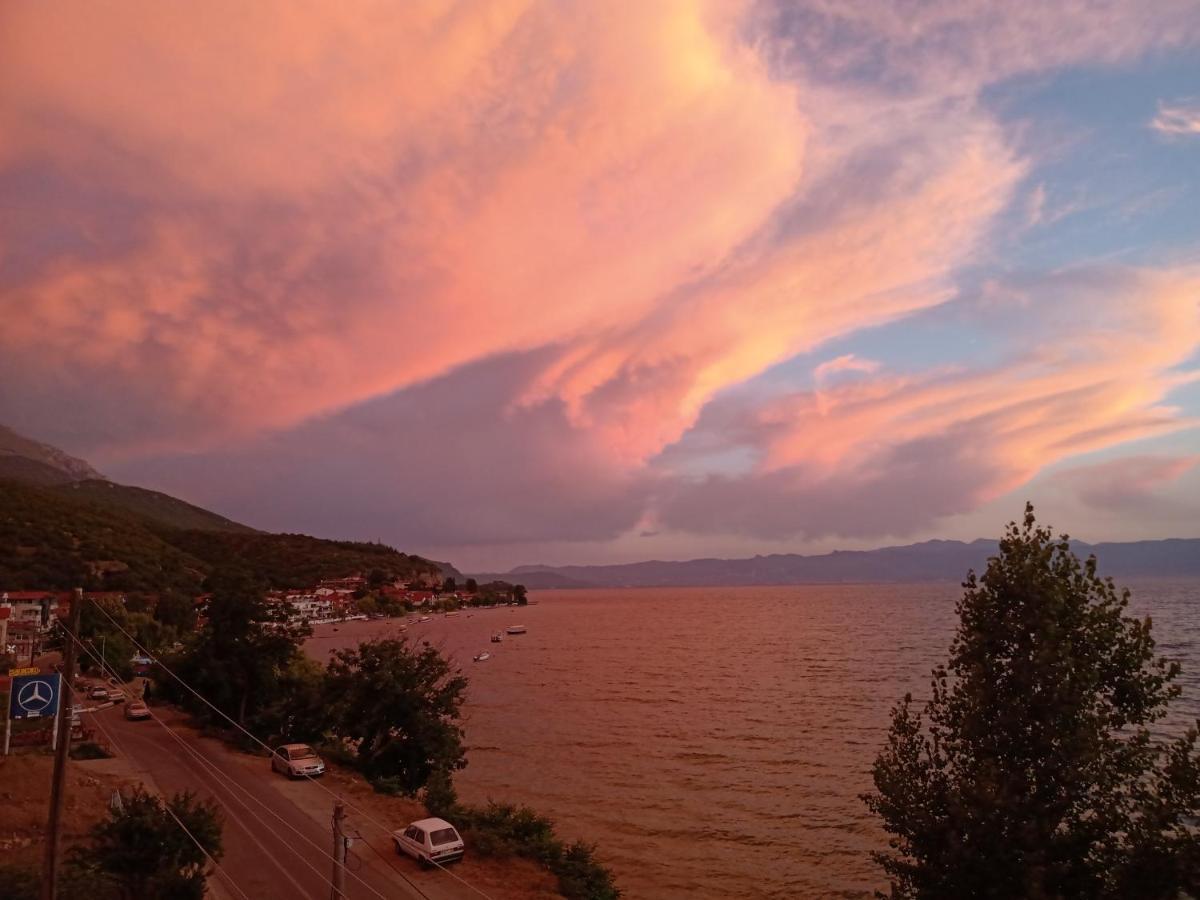 Apartments Vela - Pestani, Ohri Dış mekan fotoğraf